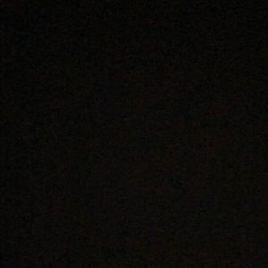 Meet your Posher, Chase